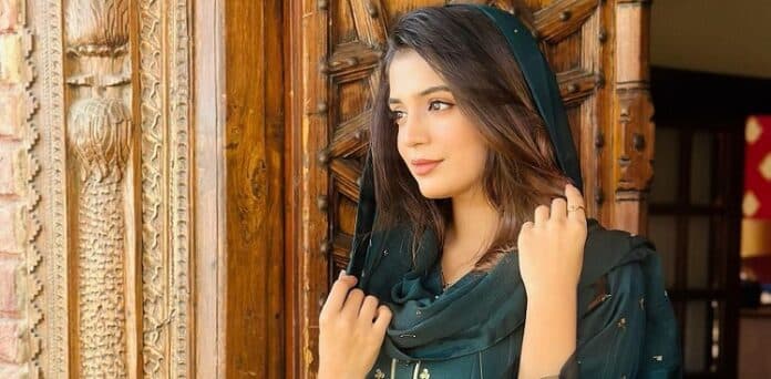 انڈسٹری میں کافی کام کرلیا اب شادی کرنا چاہتی ہوں، لائبہ خان